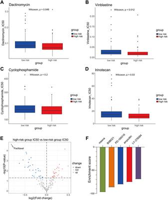 The synergistic effects of anoikis-related genes and EMT-related genes in the prognostic prediction of Wilms tumor